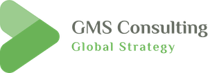 GMS Consulting